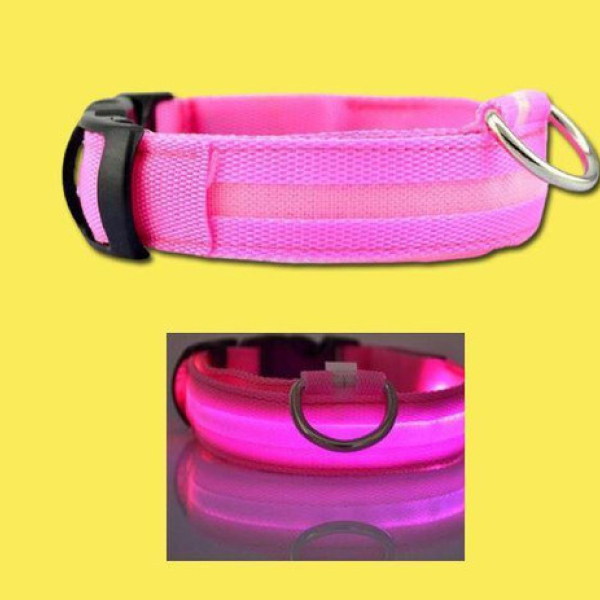 Collier LED pour Chien – Collier Chien Fluorescent pour Promenades Sûres, Rechargeable avec Illumination Ajustable – Image 7