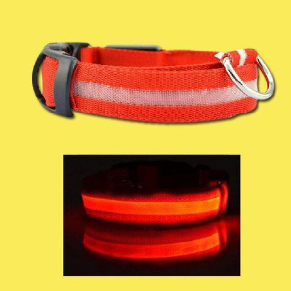 Collier LED pour Chien – Collier Chien Fluorescent pour Promenades Sûres, Rechargeable avec Illumination Ajustable – Image 6